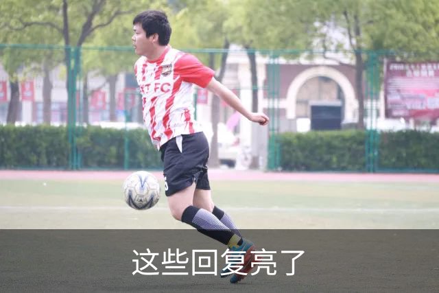 这些回复亮了